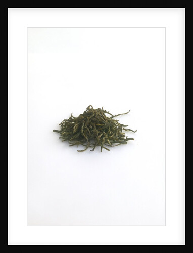 Jasmine tea by Anonymous