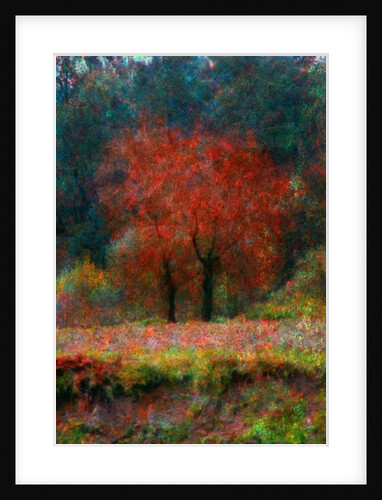 Red Tree by Anonymous