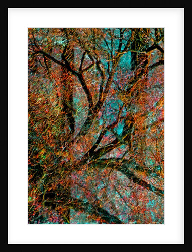 Tree by Anonymous
