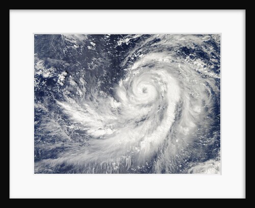 Satellite image of Typhoon Francisco over the Pacific Ocean by Anonymous