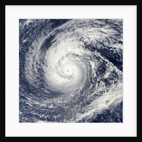 Satellite image of Typhoon Francisco over the Paciific Ocean by Anonymous