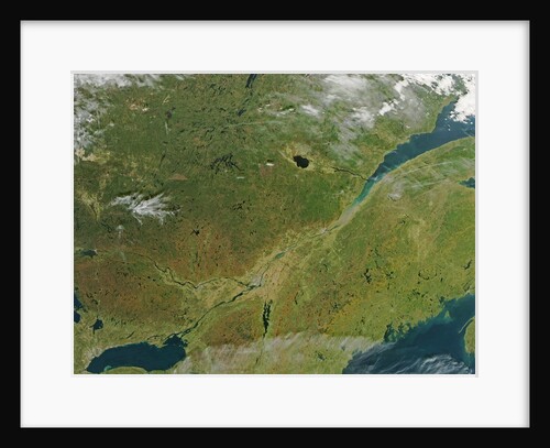 Satellite image of eastern Canada with fall colors by Anonymous