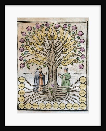 Llull, Ramon (1233/1235-1315/1316) by Anonymous