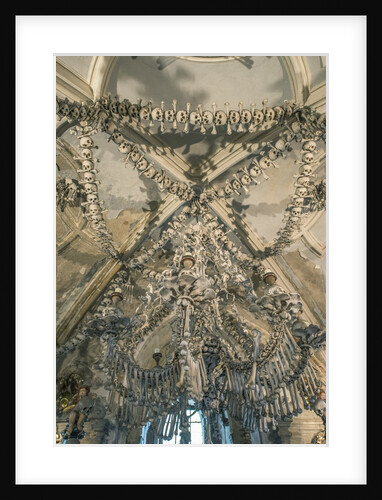 Bone Chandelier by Anonymous