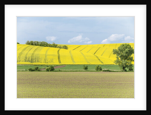 Spring Farm Fields by Anonymous