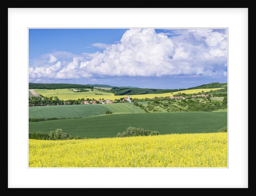 Spring Farm Fields by Anonymous