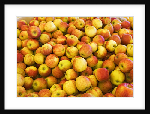 apples by Anonymous