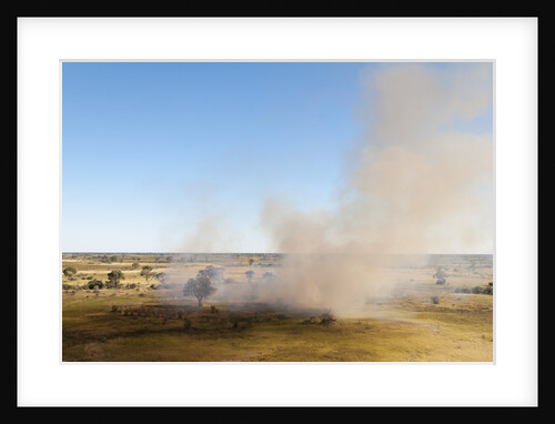 Bushfire in the Okavango Delta by Anonymous