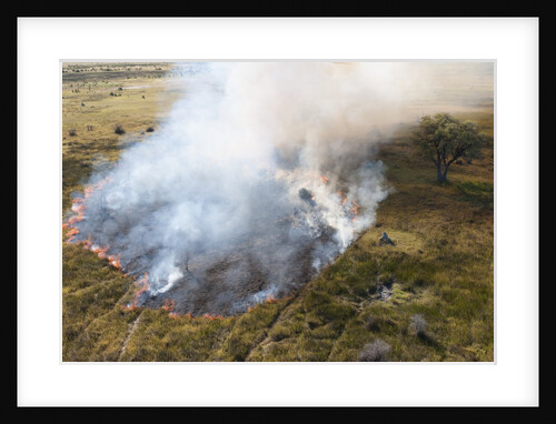 Bushfire in the Okavango Delta by Anonymous