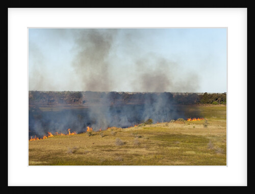 Bushfire in the Okavango Delta by Anonymous