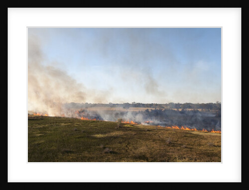 Bushfire in the Okavango Delta by Anonymous