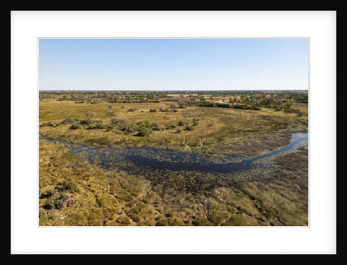 Aerial view of Okavango Delta by Anonymous