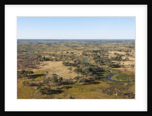 Aerial view of Okavango Delta by Anonymous