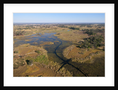 Aerial view of Okavango Delta by Anonymous