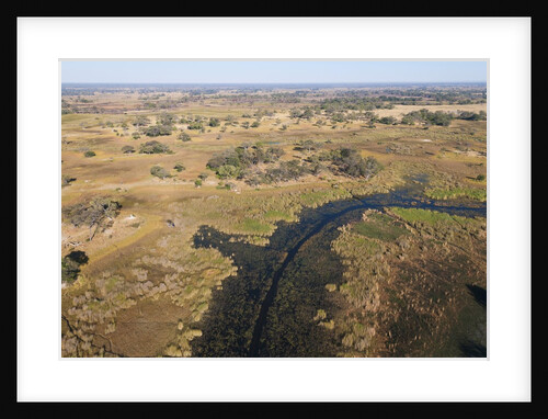 Aerial view of Okavango Delta by Anonymous