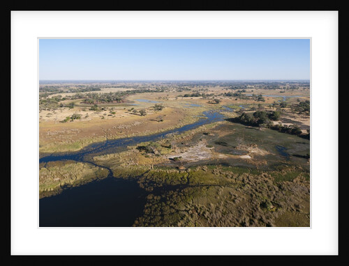 Aerial view of Okavango Delta by Anonymous