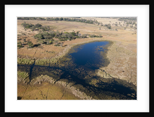 Aerial view of Okavango Delta by Anonymous
