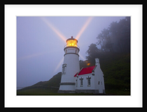 Fog adds beauty to sunrise at Heceta Head Lighthouse, Oregon Coast by Anonymous