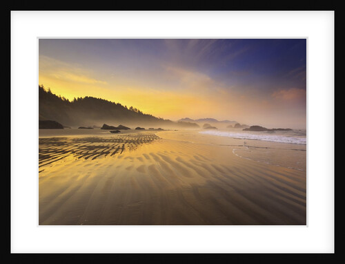 Sunrise over Crescent Beach, Oregon Coast, Pacific Ocean, Pacific Northwest by Anonymous