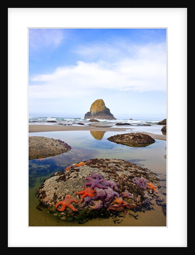 Starfish and rock formations along Indian Beach, Oregon Coast by Anonymous