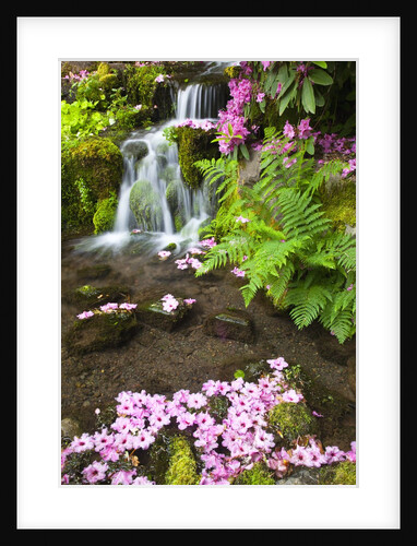 spring flowers add beauty to waterfall at Crystal Springs Garden, Portland Oregon. Pacific Northwest by Anonymous