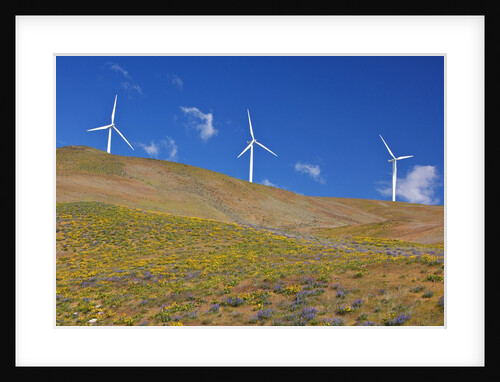 electric wind turbine in Columbia River National Scenic Area, Washington State. Pacific Northwest by Anonymous