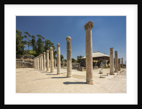 Beit She'an National Park (Scythopolis), the Western Bathhouse by Anonymous