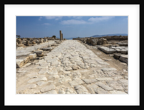 Tzippori (or Sepphoris, or Zippori) National Park, the Cardo with the original roman stone floor by Anonymous