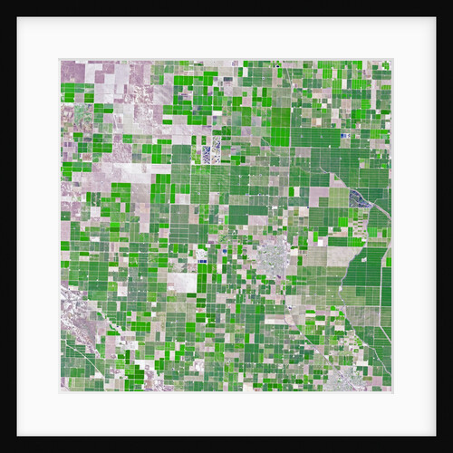 Agricultural fields near Wasco, California by Anonymous