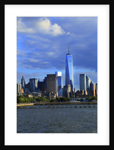 Downtown view with the Freedom tower from the Hudson River greenway by Anonymous