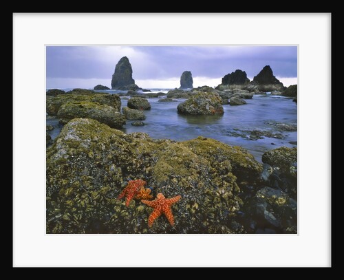 Cannon Beach by Anonymous