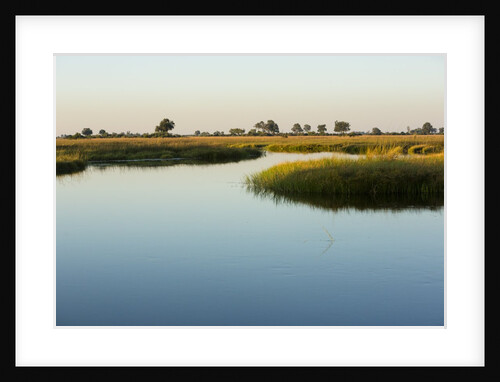 Okavango Delta by Anonymous