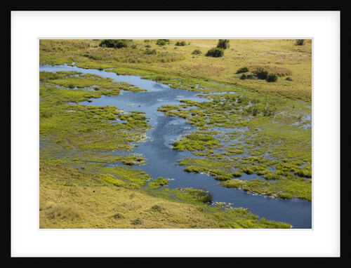 Okavango Delta Aerial by Anonymous