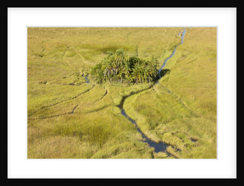 Okavango Delta Aerial by Anonymous