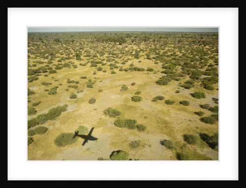 Okavango Delta Aerial by Anonymous