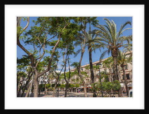 Balearic Islands - Vara de Rey square by Anonymous