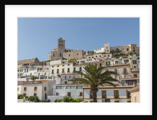 Balearic Islands - view of Dalt Vila (the old town) and the Cathedral by Anonymous