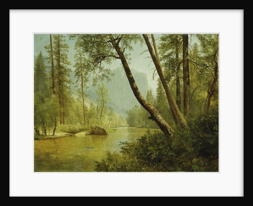 Sunlit Forest (Merced River, Yosemite Valley) by Albert Bierstadt