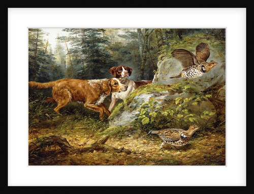 Flushed: Ruffed Grouse Shooting by Arthur Fitzwilliam Tait