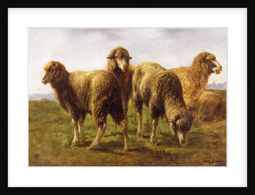 Sheep Grazing in a Meadow by Rosa Bonheur