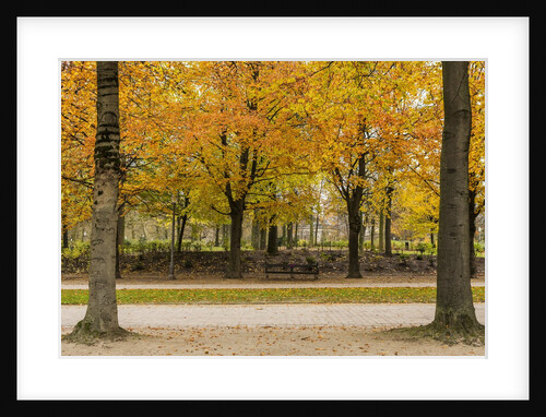 Parc de Bruxelles (Brussels Park) in autumn (fall) by Anonymous