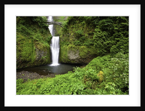 Multnomah falls, in Columbia River Gorge National Scenic Area, Oregon by Anonymous