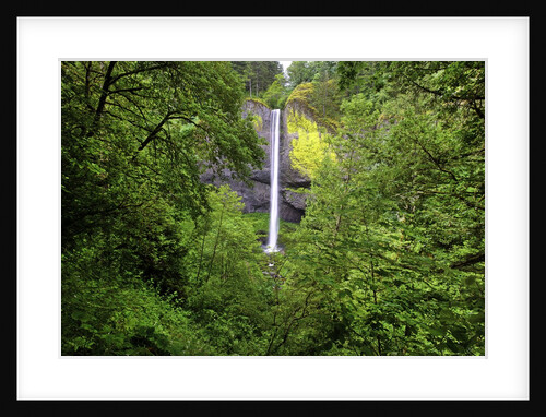 Latourell falls, in Columbia River Gorge National Scenic Area, Oregon by Anonymous