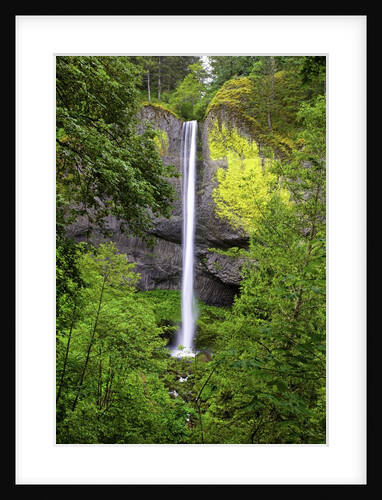 Latourell falls, in Columbia River Gorge National Scenic Area, Oregon by Anonymous