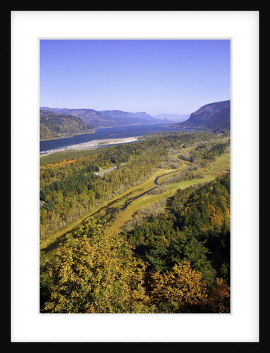 Looking East up the Columbia River, Columbia River Gorge National Scenic Area, Oregon by Anonymous