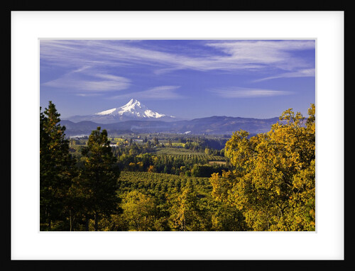Mt. Hood, Hood River Valley, Columbia River Gorge National Scenic Area, Oregon by Anonymous
