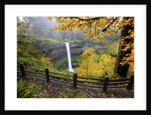 Fall colors add beauty to South Silver Falls, Silver Falls State Park, Oregon by Anonymous