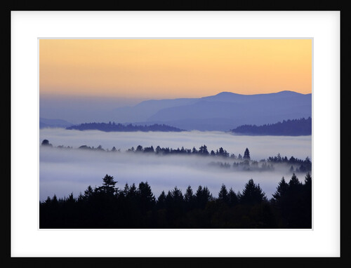Sunrise through morning fog adds beauty to Happy Valley, Oregon, Pacific Northwest by Anonymous