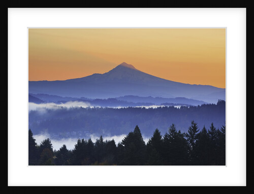 Sunrise through morning fog adds beauty to Happy Valley, Oregon, Pacific Northwest by Anonymous