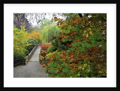 Fall colors, Crystal Spring Garden, Portland, Oregon by Anonymous